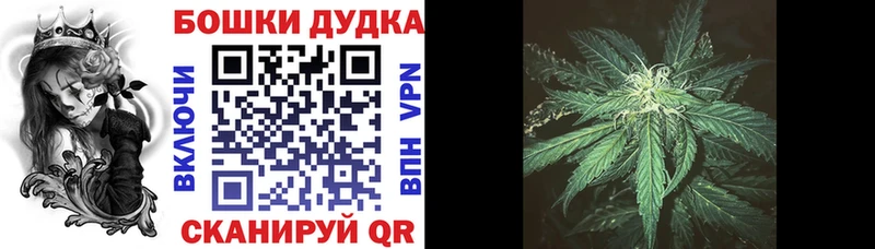 Как найти закладки Яхрома Бошки Шишки  КОКАИН  Alpha PVP  Меф мяу мяу  Гашиш 