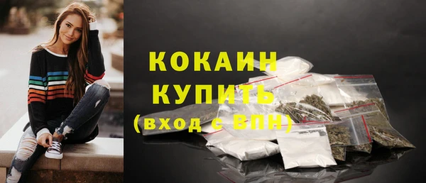 прущая мука Вяземский