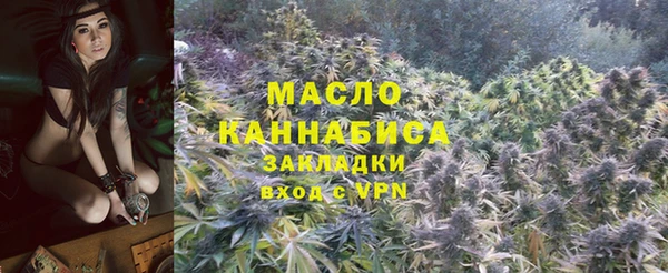 прущая мука Вяземский