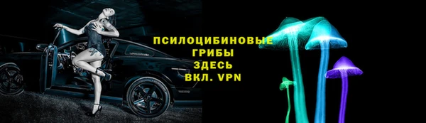 прущая мука Вяземский
