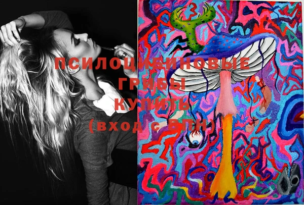 прущая мука Вяземский
