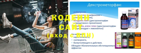 прущая мука Вяземский